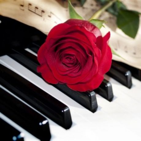 天籁无音 的档案图片