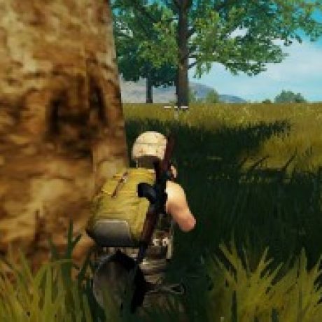 梦一样自由 的档案图片