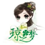 琼之梦 的档案图片