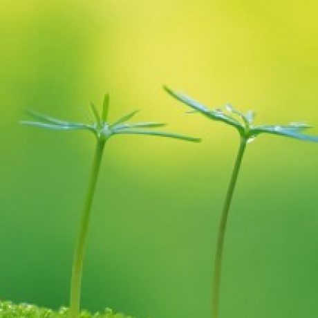 宴米 的档案图片