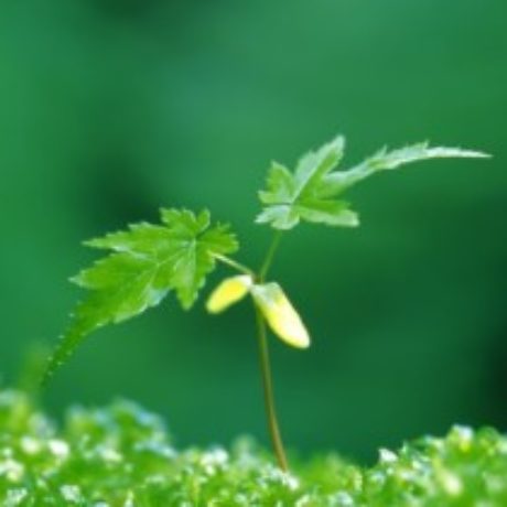 爱是喜乐的泉源 的档案图片