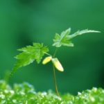 爱是喜乐的泉源 的档案图片