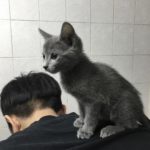 独独爱杰伦 的档案图片
