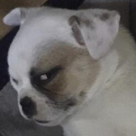 邵希 的档案图片